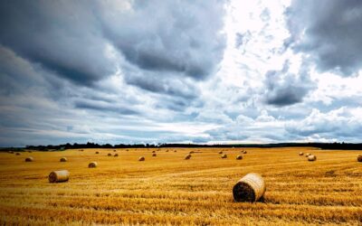 Celebrating Harvest Together